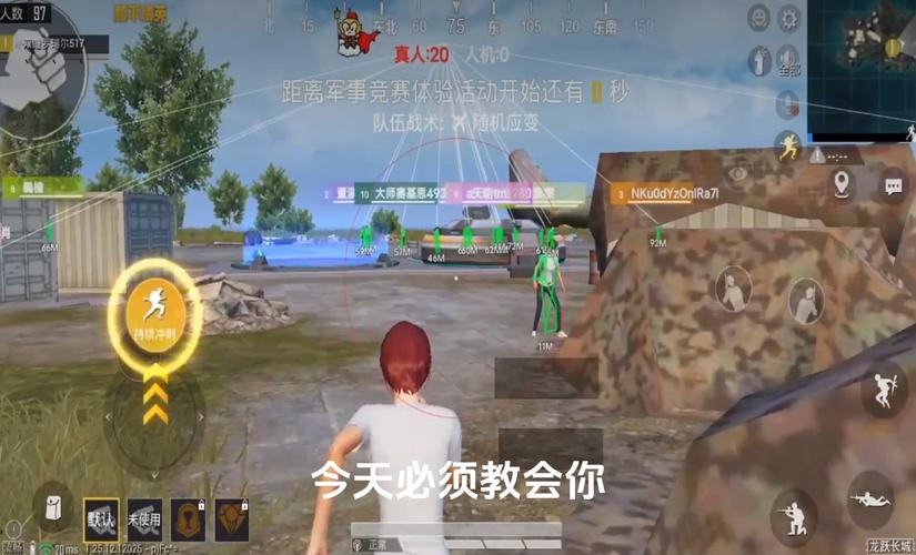 和平精英《诛仙》辅助