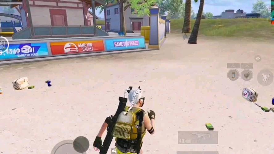 和平精英「毛豆直装」辅助外挂